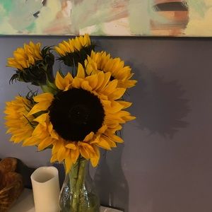 Meet your Posher, Hayley